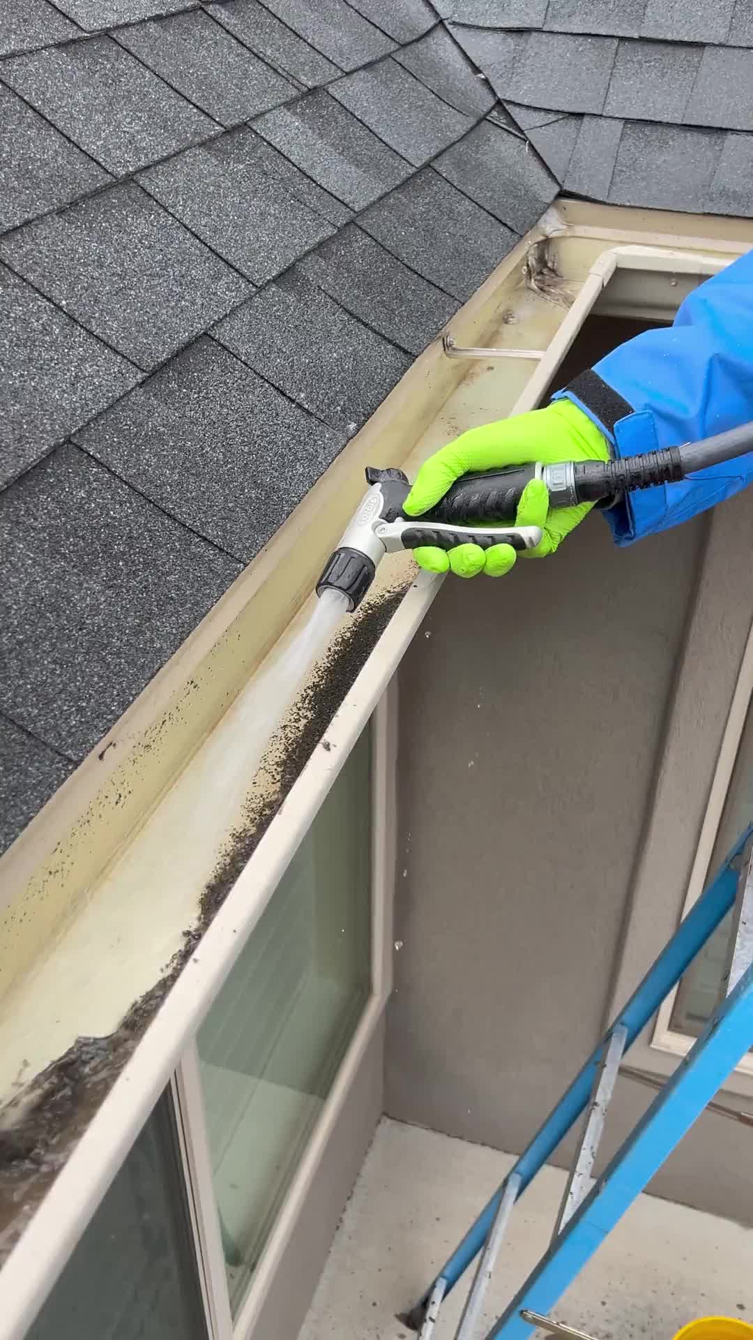 Professional gutter cleaning services