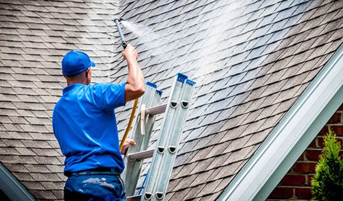 Professional house soft wash services