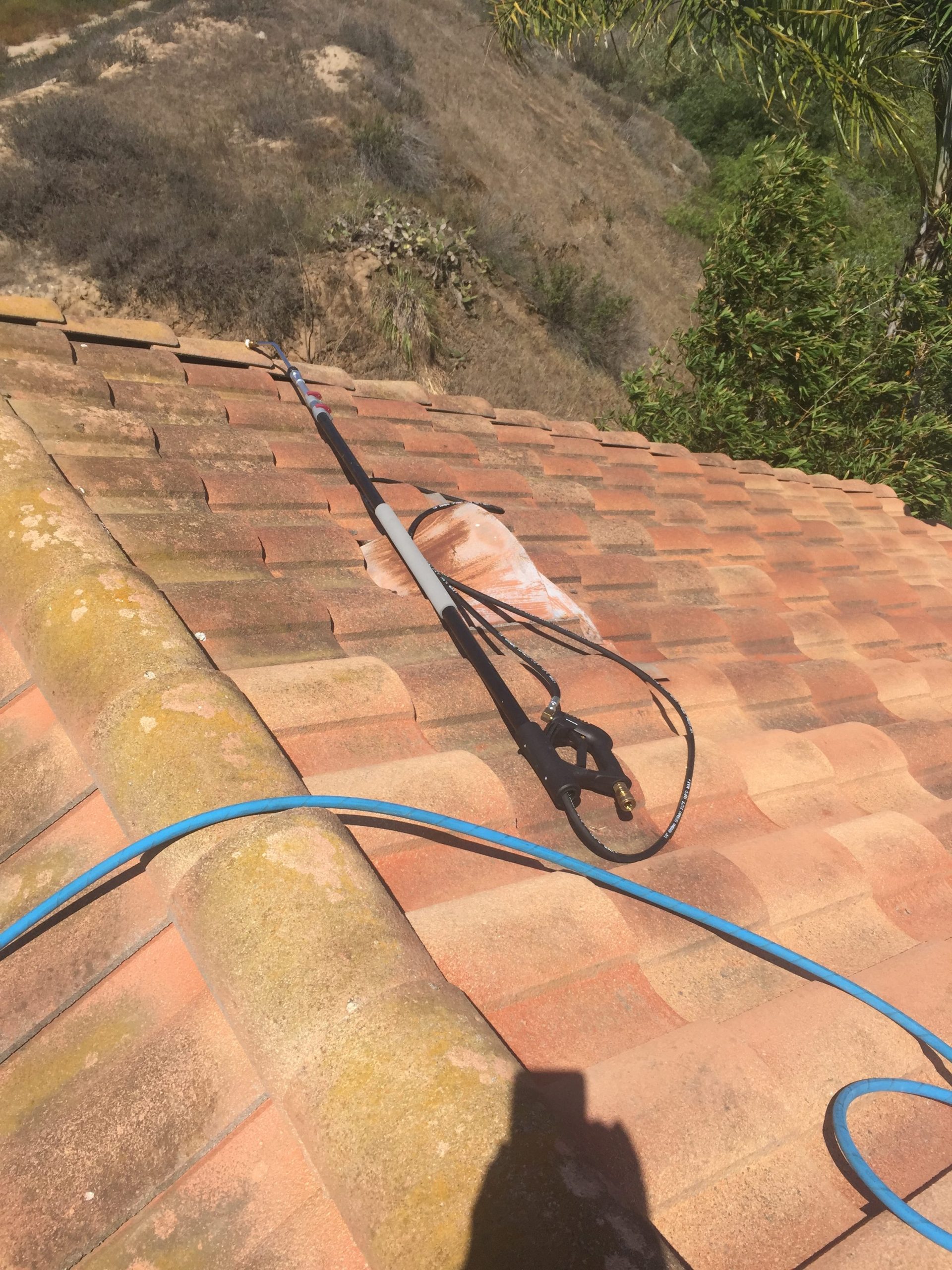 Professional roof cleaning services