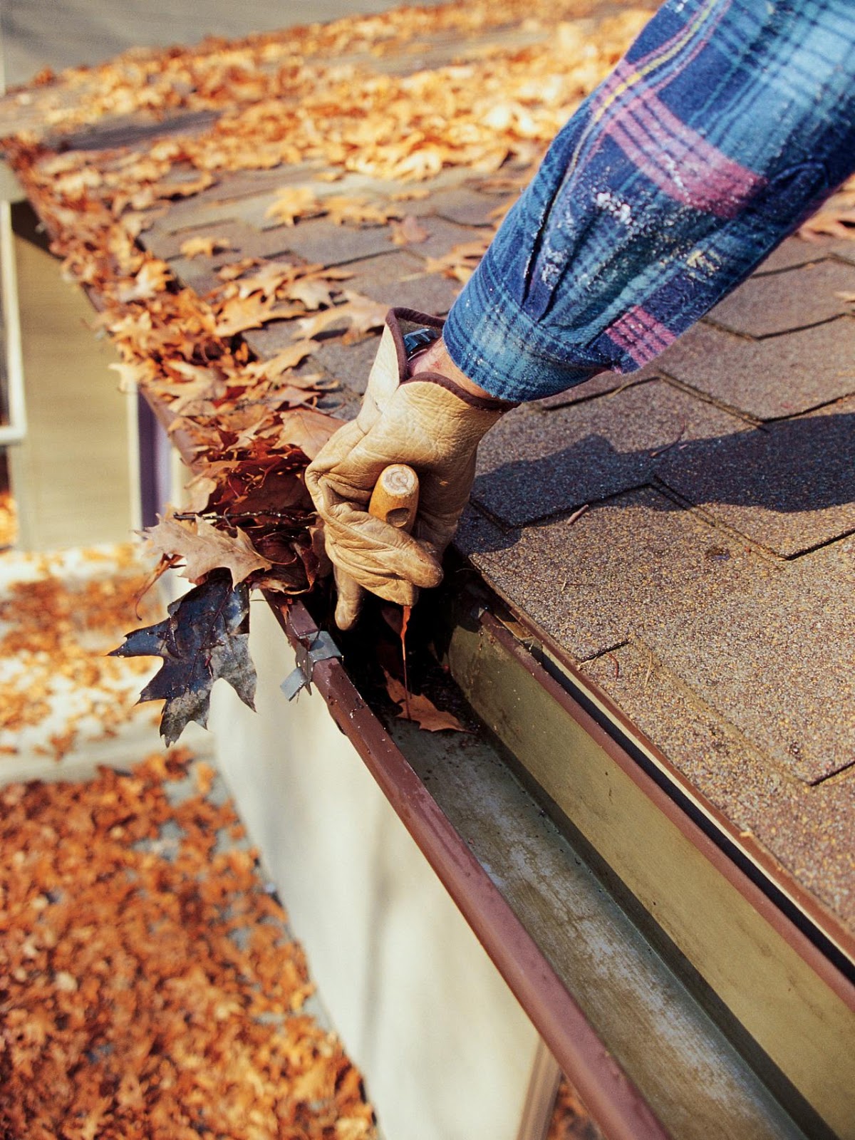 Clean gutters after professional service
