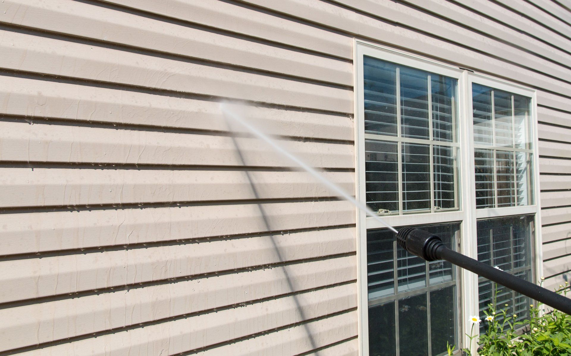 Professional siding cleaning services